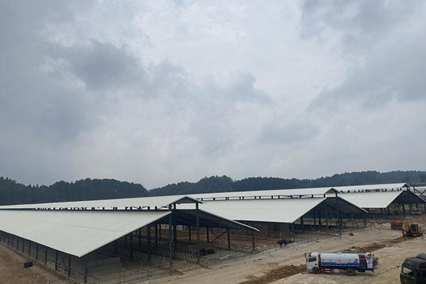 延長PVC瓦使用壽命的三大關(guān)鍵因素，千萬別忽視！